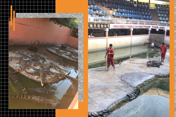 高端拉床,專用機床,內拉床,外拉床,數(shù)控機床,自動化生產線,工業(yè)機器人 高端拉床,專用機床,內拉床,外拉床,數(shù)控機床,自動化生產線,工業(yè)機器人