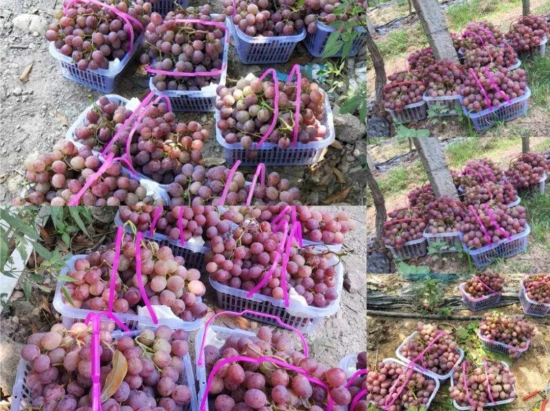 高端拉床,專(zhuān)用機(jī)床,內(nèi)拉床,外拉床,數(shù)控機(jī)床,自動(dòng)化生產(chǎn)線,工業(yè)機(jī)器人,拉床,拉刀,自動(dòng)化 高端拉床,專(zhuān)用機(jī)床,內(nèi)拉床,外拉床,數(shù)控機(jī)床,自動(dòng)化生產(chǎn)線,工業(yè)機(jī)器人,拉床,拉刀,自動(dòng)化