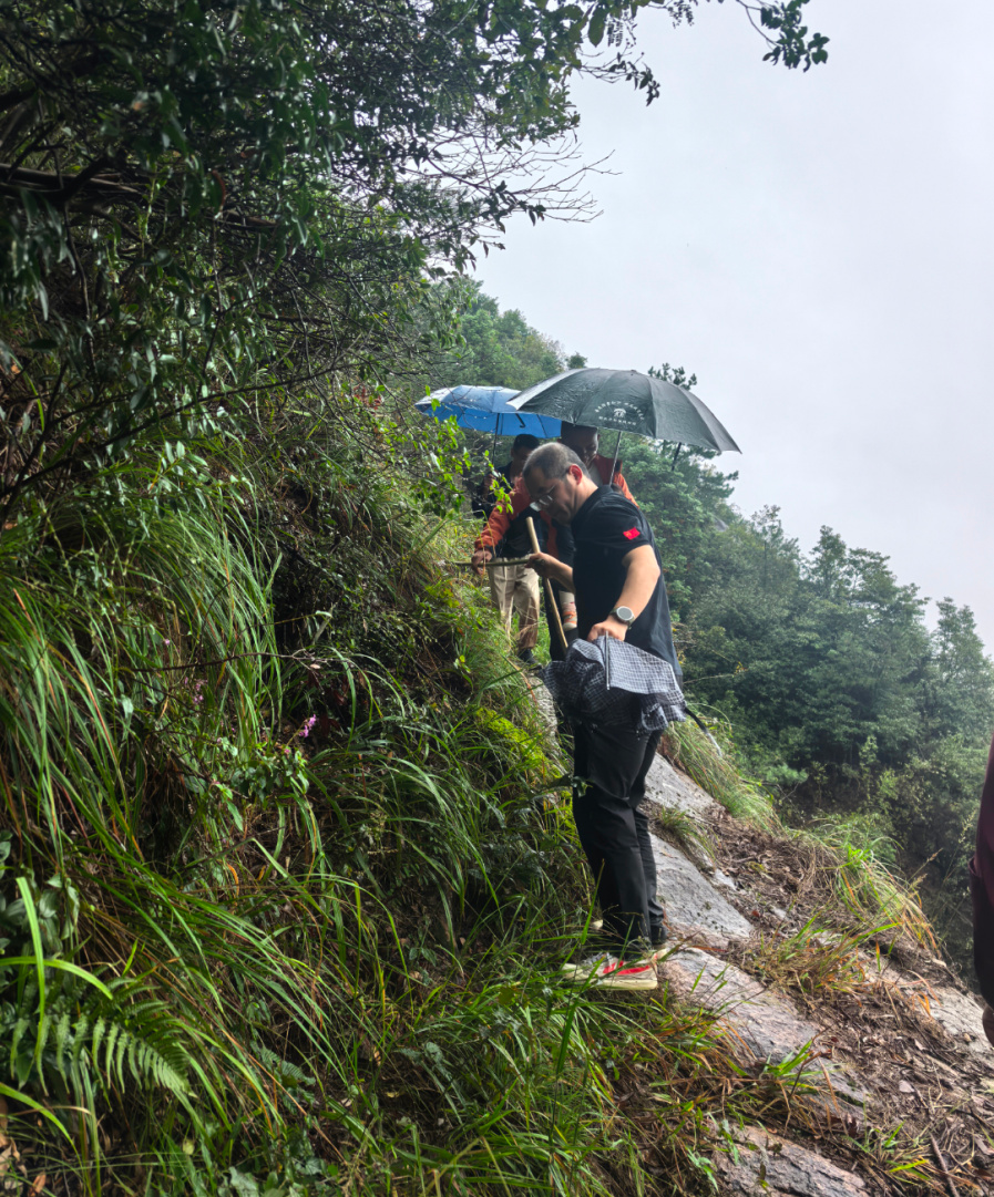 1729647744987278.png 1729647744987278.png