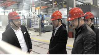 縉云縣委書記楊秀清調研暢爾