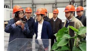 浙江省政協(xié)副秘書長帥燮瑯一行調(diào)研暢爾