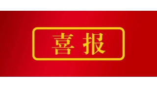 暢爾林綠高榮獲麗水市“最美政協(xié)人”