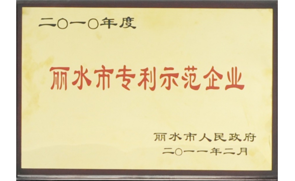 麗水市專(zhuān)利示范企業(yè)